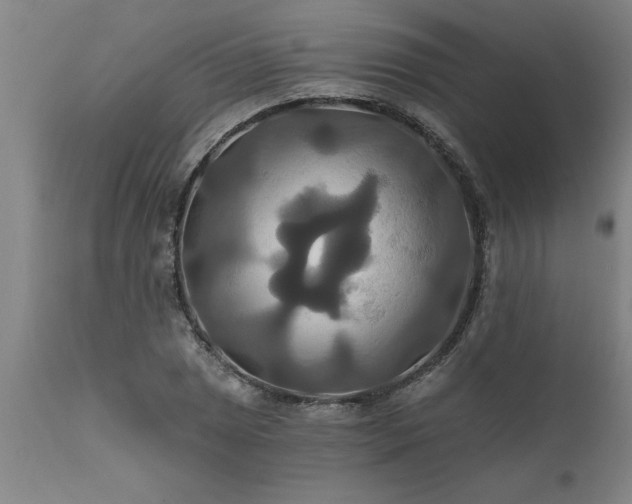 X0000111821025200907301251
