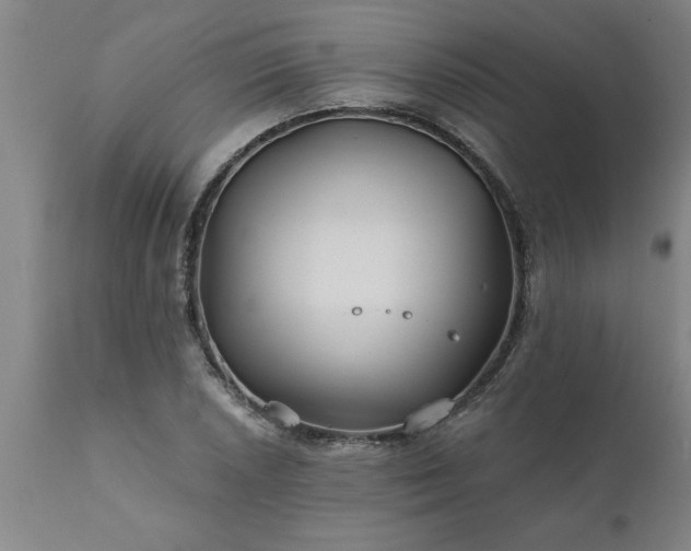 X0000111821026200907301251