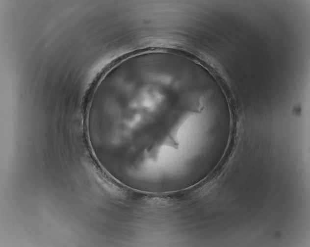 X0000111821027200907301251