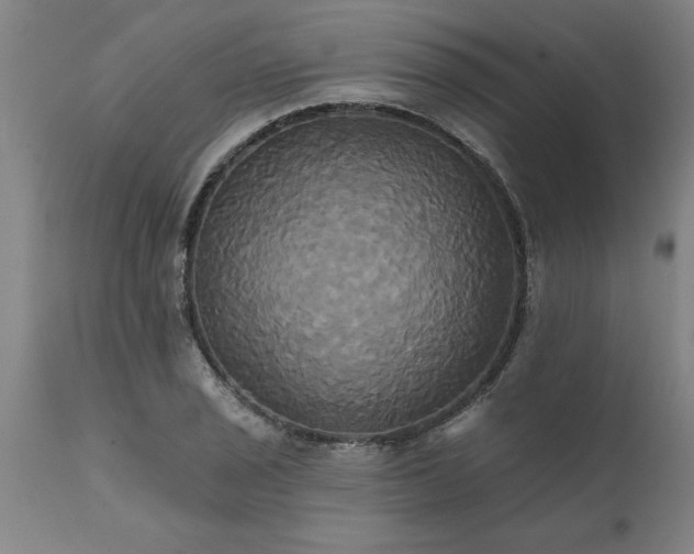 X0000111821029200907301252