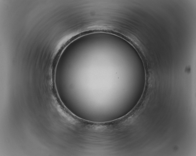 X0000111821030200907301252
