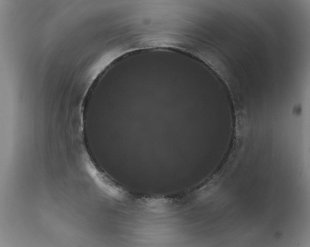 X0000111821031200907301252