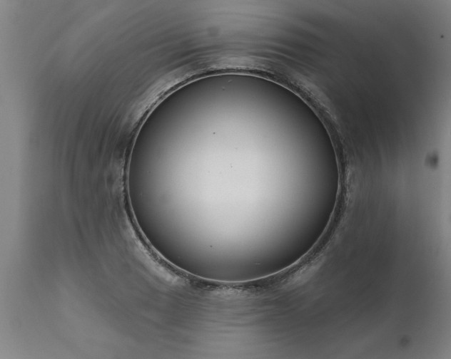 X0000111821033200907301252
