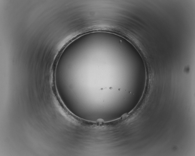 X0000111821034200907301252