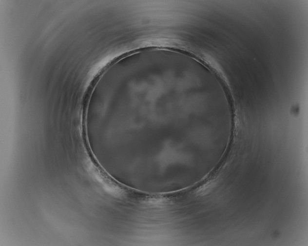 X0000111821035200907301252