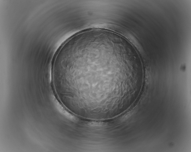 X0000111821036200907301252