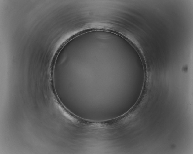 X0000111821037200907301252