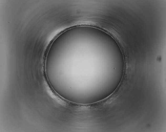 X0000111821038200907301252