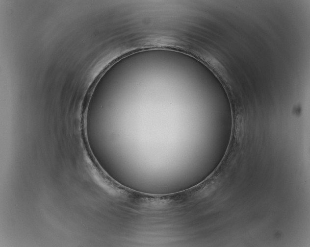 X0000111821039200907301252