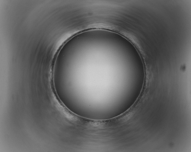 X0000111821040200907301252