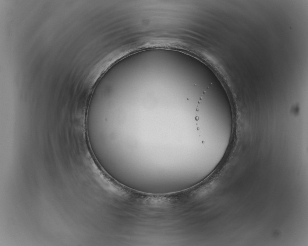 X0000111821041200907301252