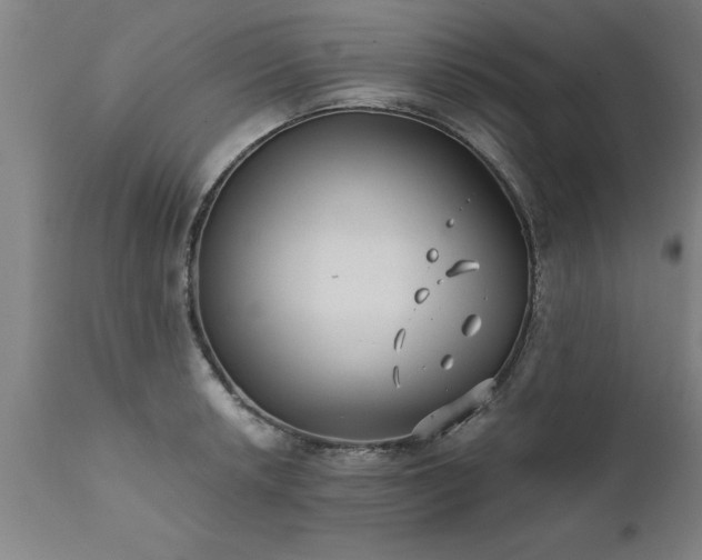 X0000111821042200907301252