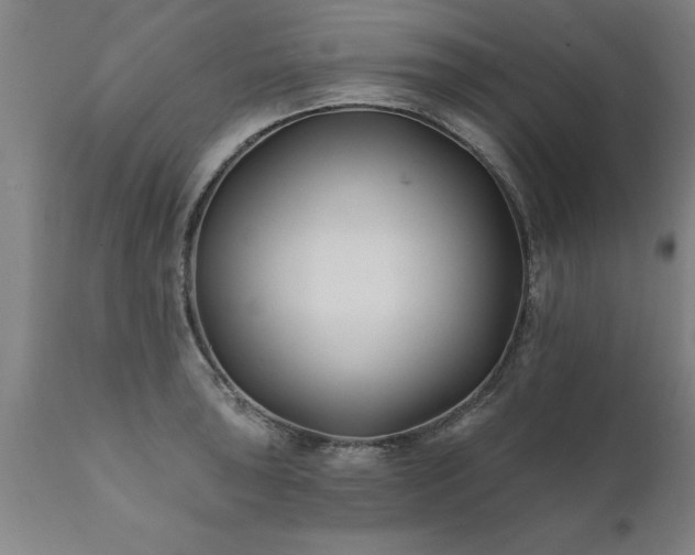 X0000111821043200907301252