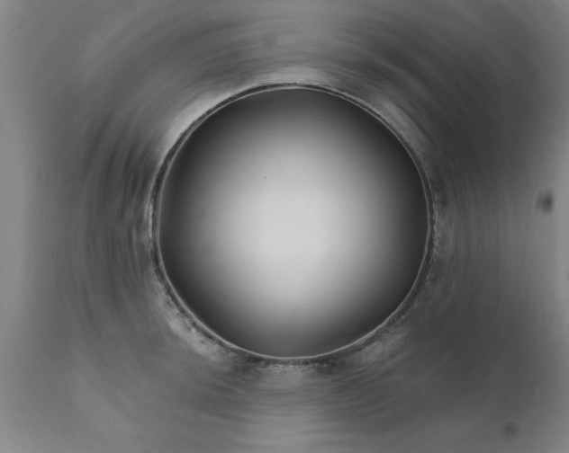 X0000111821044200907301252