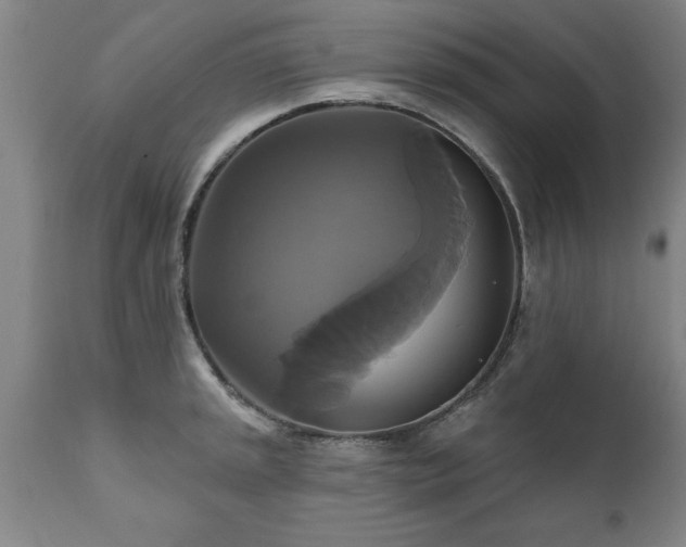 X0000111821045200907301252