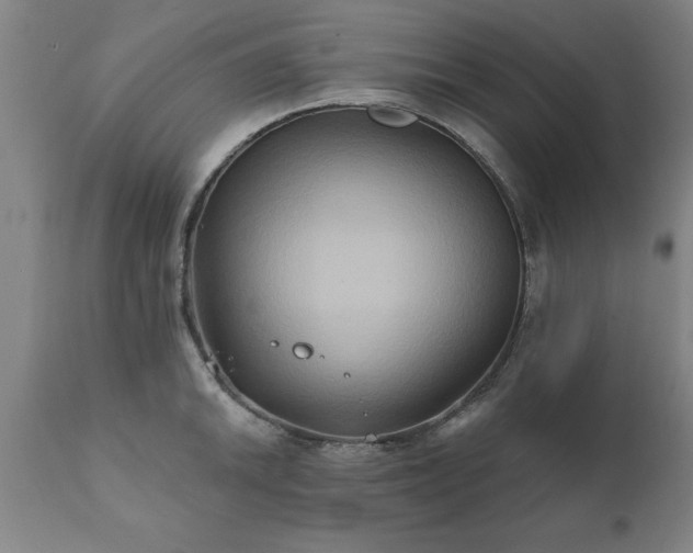 X0000111821046200907301252