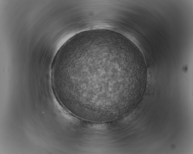 X0000111821047200907301252