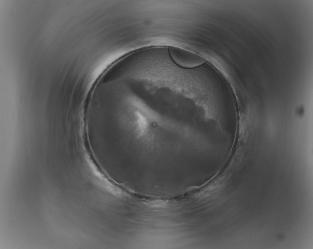 X0000111821048200907301252