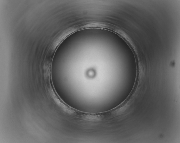 X0000111821049200907301252