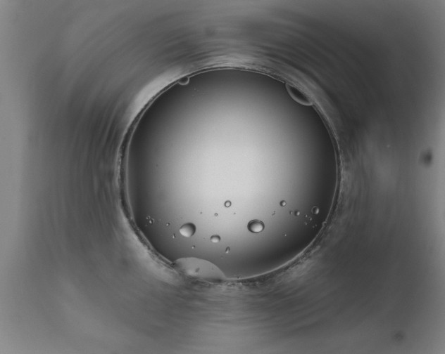 X0000111821050200907301252