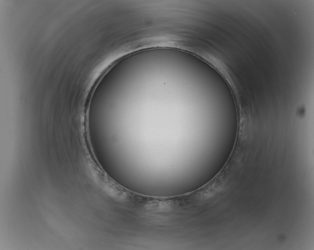 X0000111821051200907301252