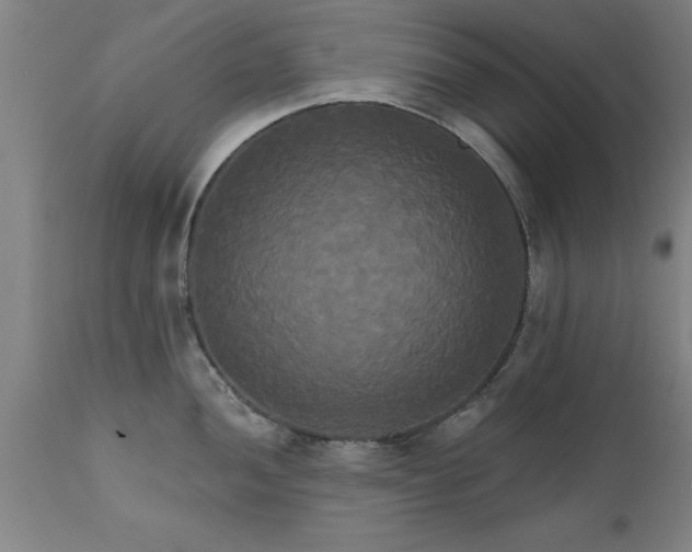 X0000111821052200907301252