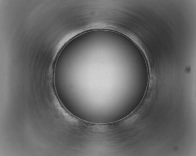 X0000111821053200907301252
