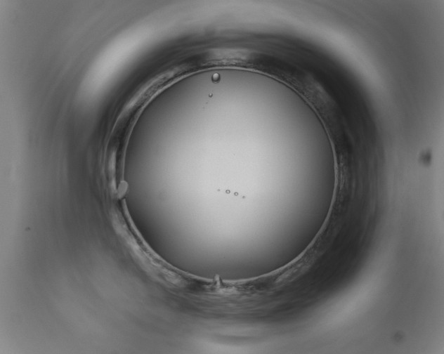 X0000111821054200907301252