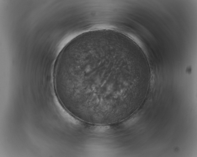 X0000111821055200907301252