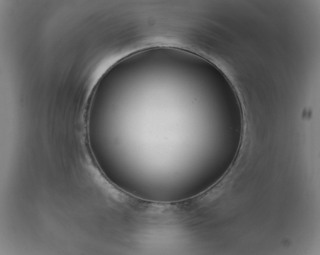 X0000111821056200907301252