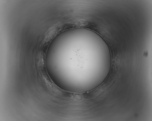X0000111821058200907301251