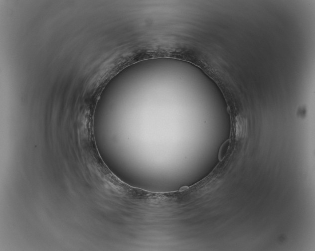 X0000111821059200907301251