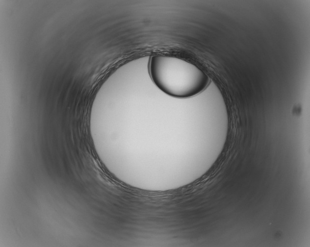 X0000111821060200907301251