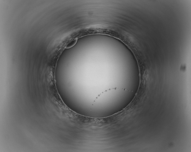 X0000111821062200907301251