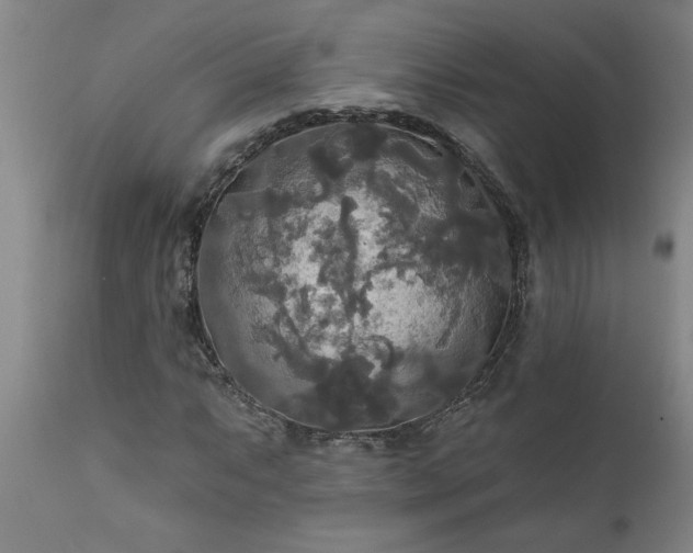 X0000111821063200907301251