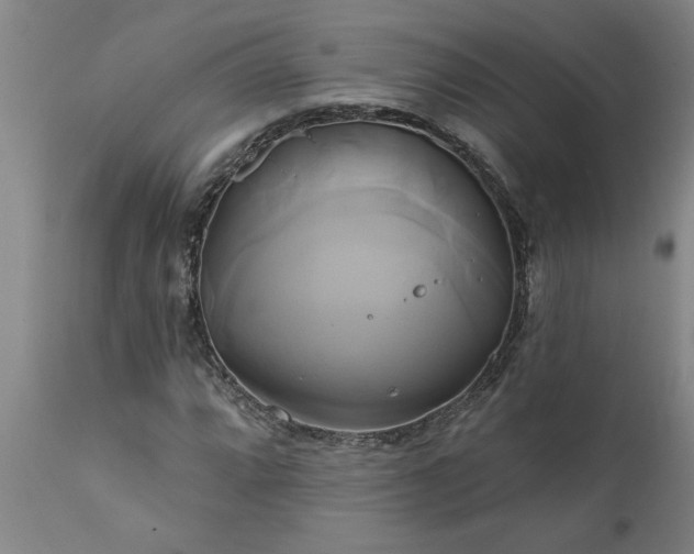 X0000111821064200907301251