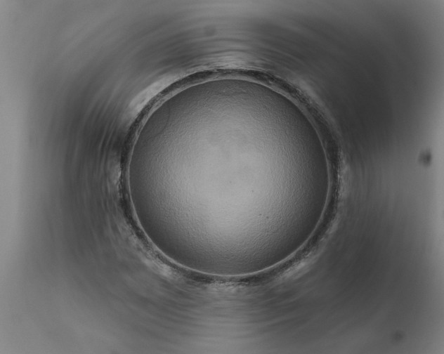 X0000111821065200907301251