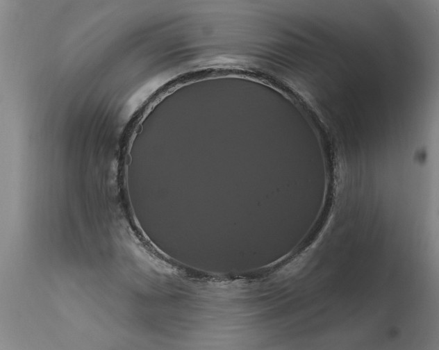X0000111821066200907301251