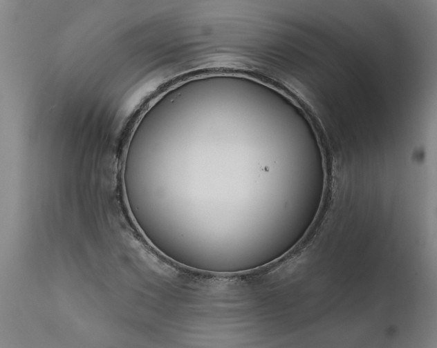 X0000111821067200907301251