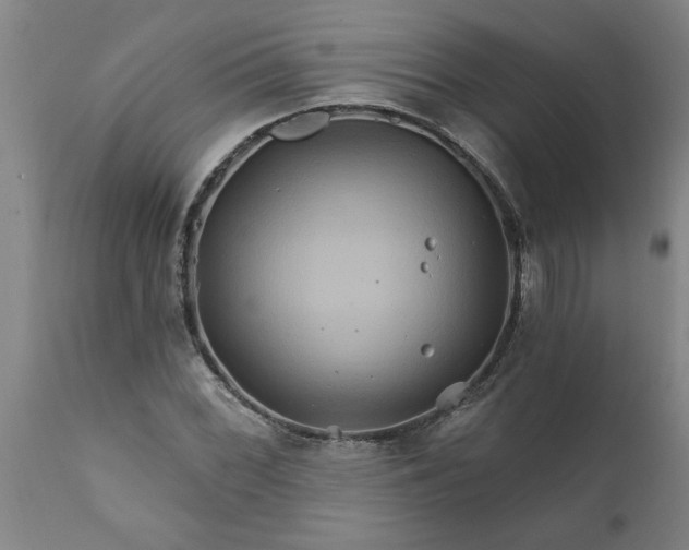 X0000111821068200907301251