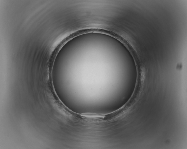 X0000111821069200907301251