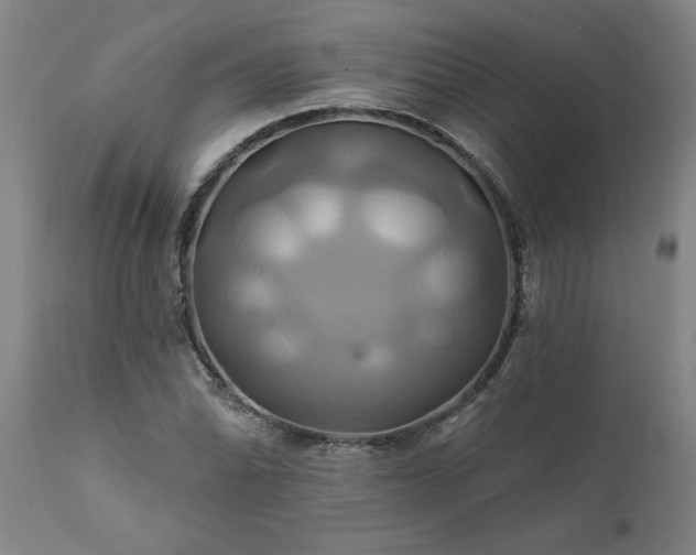 X0000111821070200907301251