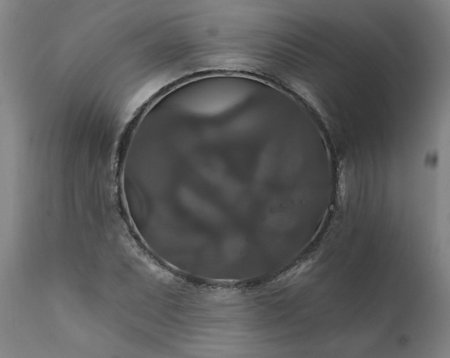 X0000111821071200907301251