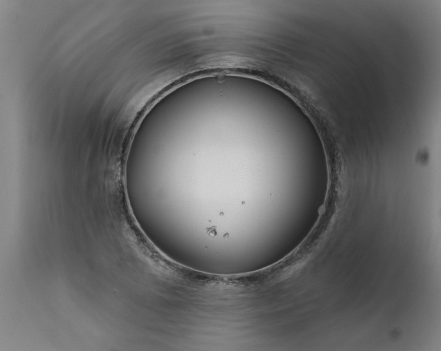 X0000111821073200907301251