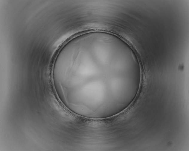 X0000111821074200907301251