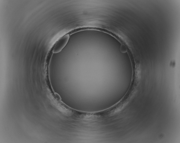 X0000111821077200907301251