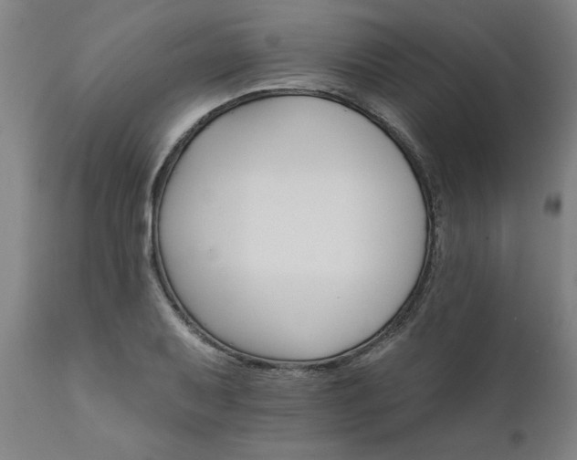 X0000111821079200907301251