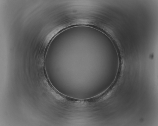 X0000111821081200907301251