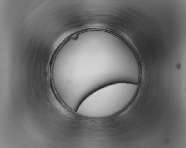 X0000111821082200907301251