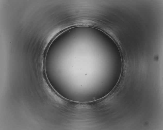X0000111821083200907301251